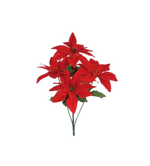 Gwiazda betlejemska bukiet 5 kwiatów, 40cm, czerwony, zielony