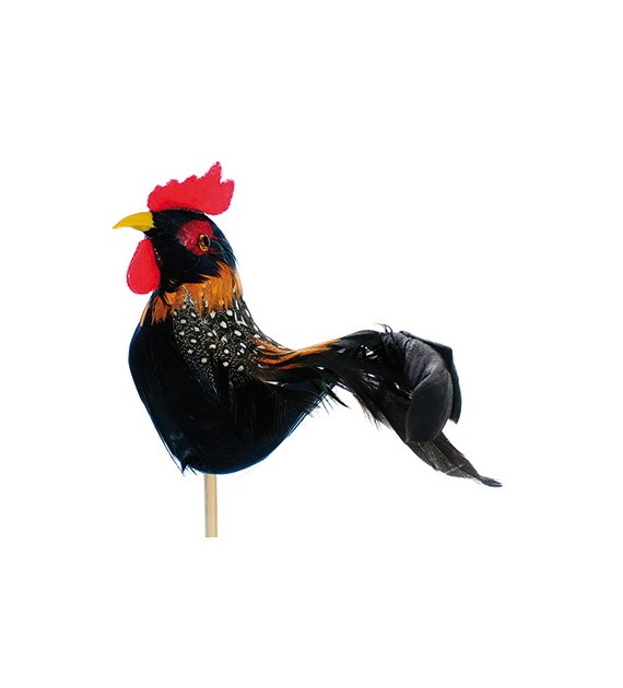 Kogut z pierzastym ogonem na piku