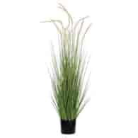 Trawa Dogtail w plastikowej doniczce, 121cm, zielony