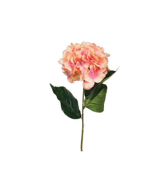 Hortensja pojedyncza, 3 liście, 82cm, różowy