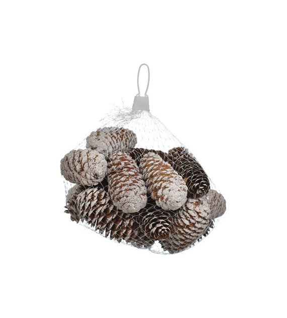 Szyszki 20szt. nat-oszronione