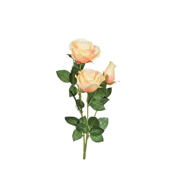 Gałązka róży gigant, 63cm, brzoskwiniowy