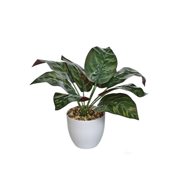 Kwiat sztuczny w doniczce- Kaladium, 25cm, zielony