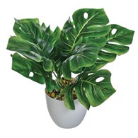 Kwiat sztuczny w doniczce - Monstera, 25cm, zielony