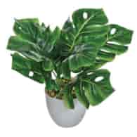 Kwiat sztuczny w doniczce - Monstera, 25cm, zielony