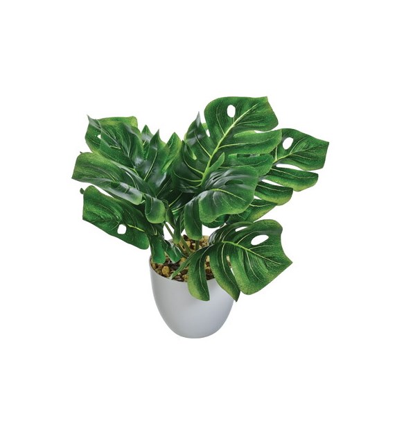 Kwiat sztuczny w doniczce - Monstera, 25cm, zielony