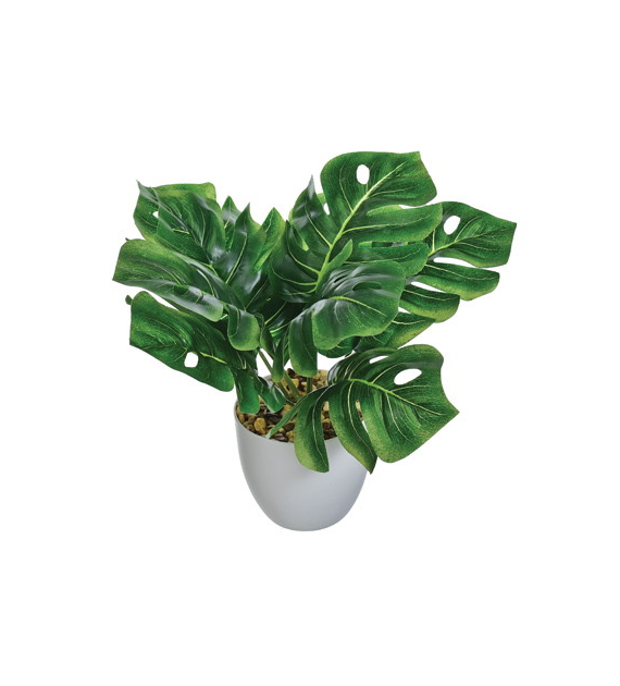 Kwiat sztuczny w doniczce - Monstera, 25cm, zielony