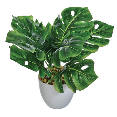 Kwiat sztuczny w doniczce - Monstera, 25cm, zielony