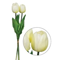 Bukiet 3 tulipanów