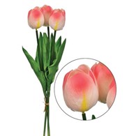 Bukiet 3 tulipanów