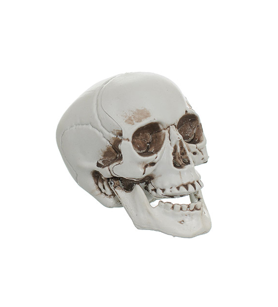 Dekoracja halloweenowa - mała czaszka