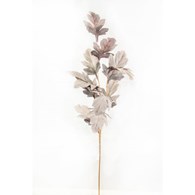 Gałązka liści ozdobnych cieniowanych, wys. 107cm, szary