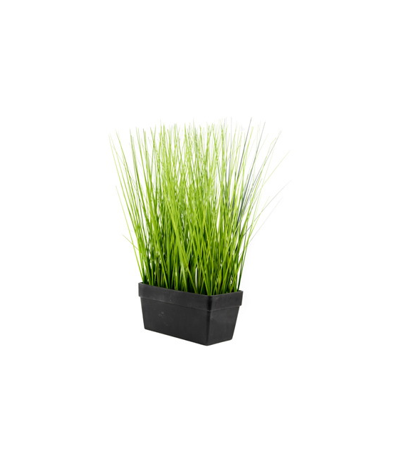 Trawa w plastikowej, czarnej prostokątnej doniczce, 38cm, ciemny zielony