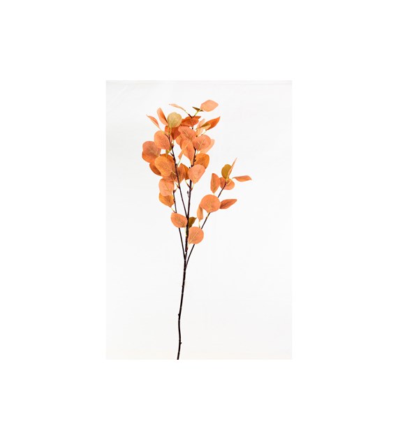 Gałązka eukaliptusa 90cm, pom/brąz