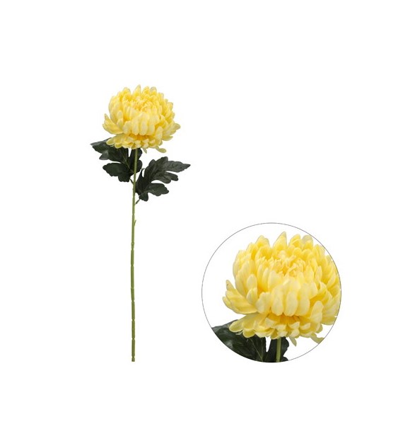 Chryzantema pojedyncza, 2 liście, 65cm, żółty