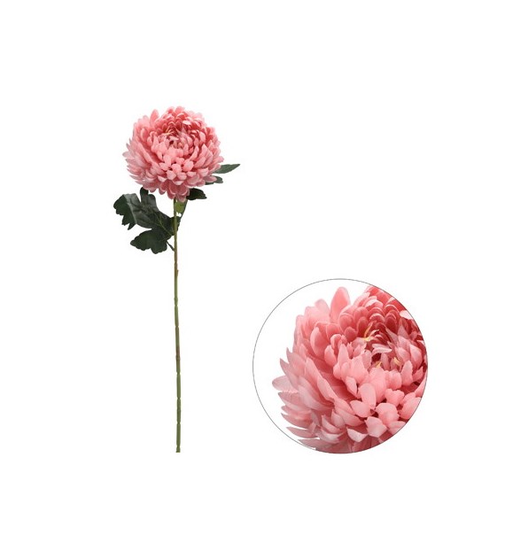 Chryzantema pojedyncza, 2 liście, 65cm, jasny różowy
