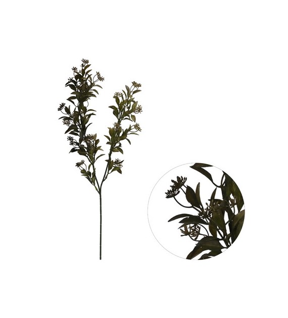 Gałązka z listkami