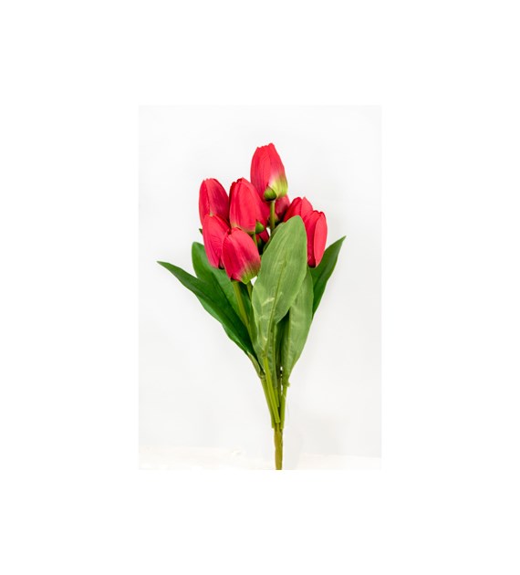 Bukiet 9 tulipanów, wys 42cm, ciemny róż