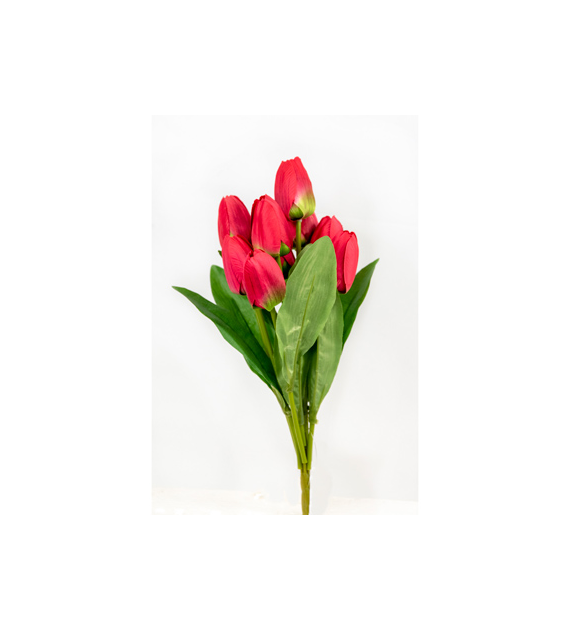 Bukiet 9 tulipanów, wys 42cm, ciemny róż