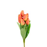 Bukiet 9 tulipanów, wys 42cm, pomarańczowy