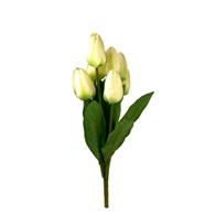 Bukiet 9 tulipanów, wys 42cm, kremowy