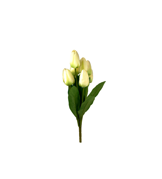 Bukiet 9 tulipanów, wys 42cm, kremowy