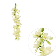 Gałązka orchidei, 78cm, kremowy