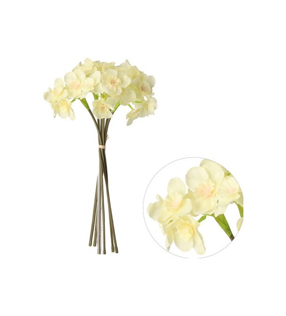 Bukiet 24 żonkili, 42cm, kremowy