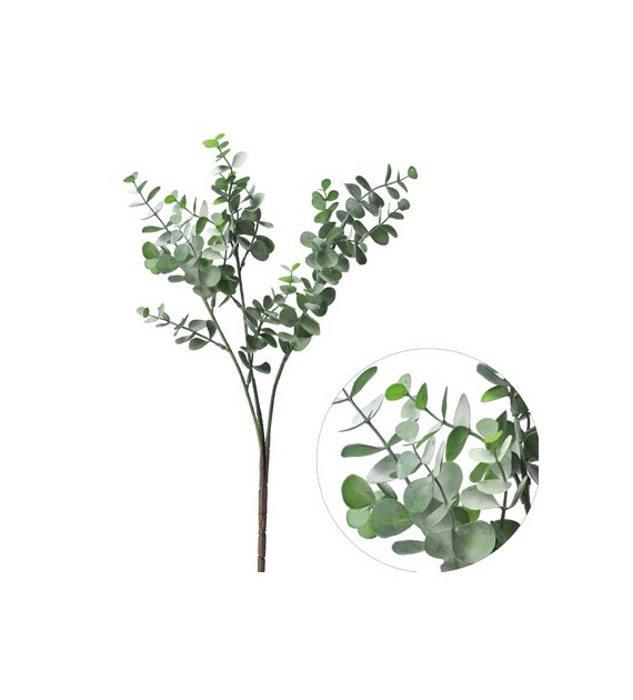 Gałązka miechunki, 57cm, ziel