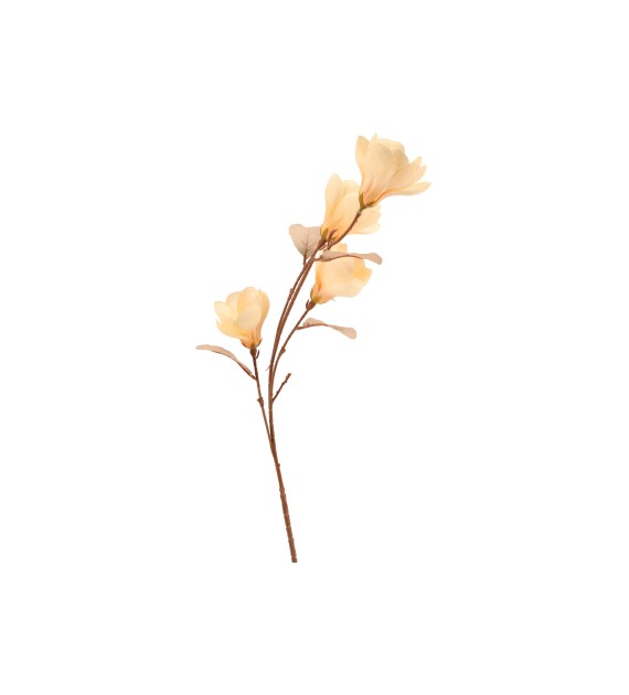 Gałązka magnolii, 82cm, krem