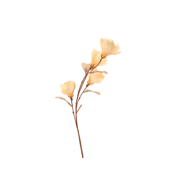 Gałązka magnolii, 82cm, krem