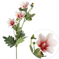 Gałązka magnolii, 72cm, krem-czerw