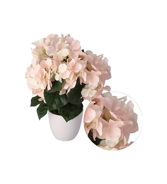 Hortensja w doniczce, 30cm, róż