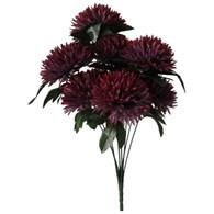 Bukiet 9 chryzantem strzępiastych, 60 cm, fioletowy