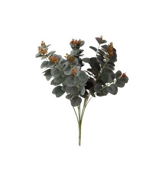 Bukiet eukaliprusa, 50cm, zielony