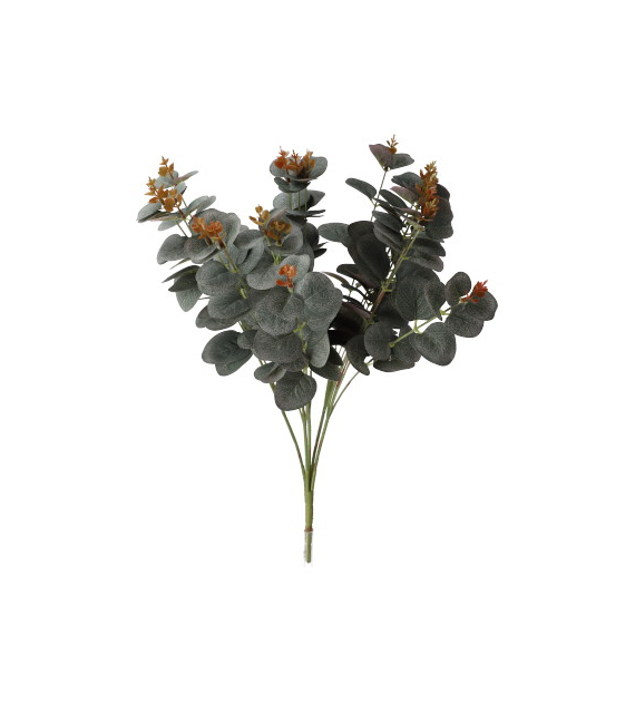 Bukiet eukaliprusa, 50cm, zielony