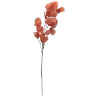 Eukaliptus 90cm