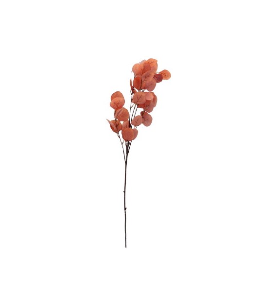 Eukaliptus 90cm