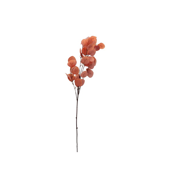 Eukaliptus 90cm