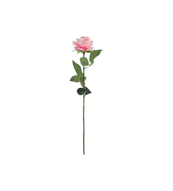Róża pojedyncza, 60cm, różowy
