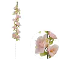 Gałązka orchidei, 78cm, mix kolorów