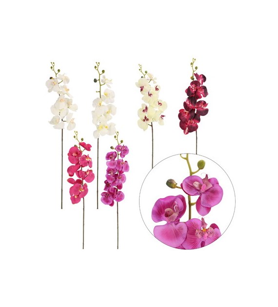 Gałązka storczyka, 110cm, mix
