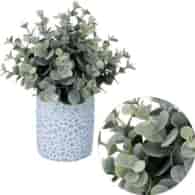 Sukulent w doniczce, 23cm, ziel
