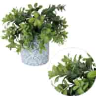 Sukulent w doniczce, 23cm, ziel