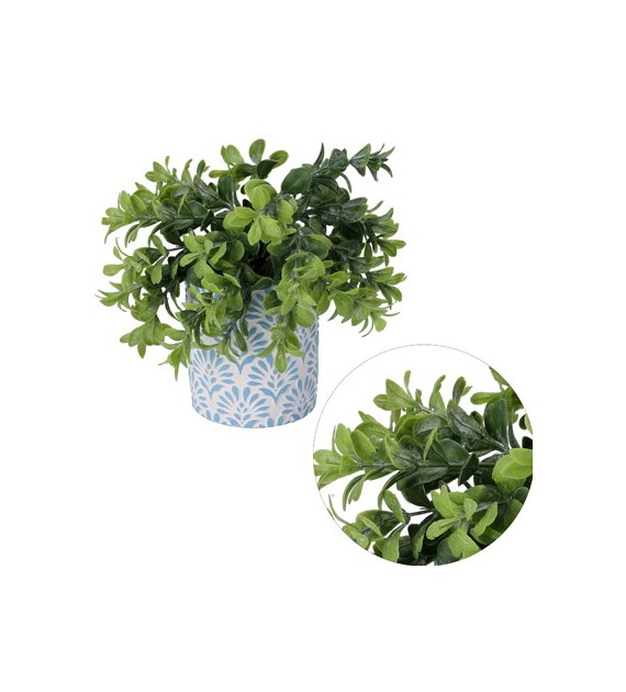 Sukulent w doniczce, 23cm, ziel