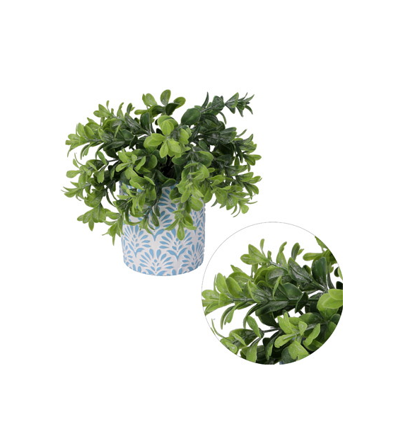 Sukulent w doniczce, 23cm, ziel