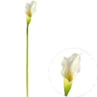 Kalla pojedyncza z gumowanej jakości, 89cm, krem