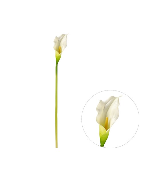 Kalla pojedyncza z gumowanej jakości, 89cm, krem