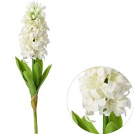 Hiacynt, 47cm,  biały