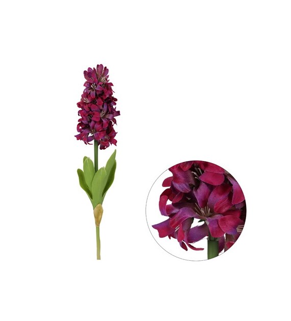 Hiacynt, 47cm,  fiolet